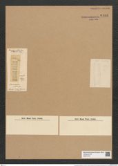 Grammatophora pusilla Grev. (de-Toni-Nr.: Genus 93, Species 3047) Zeichnungen Sammlung Grunow Nr. 6183 (NHMW-BOT-W0374754)